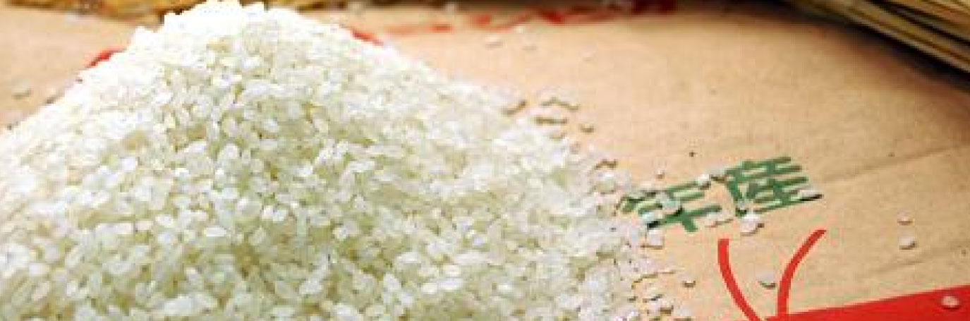 十日町産魚沼こしひかり