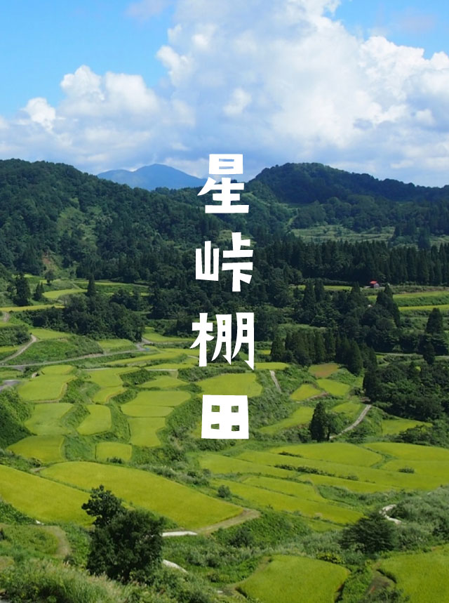 十日町市星峠棚田