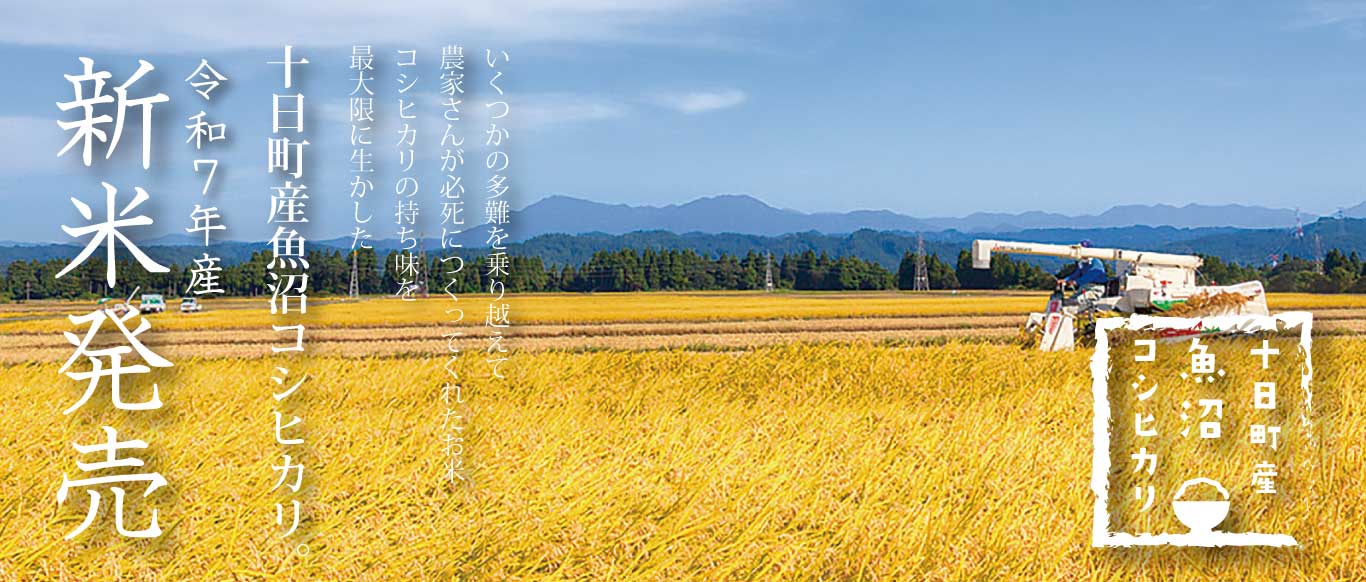 令和7年産十日町産魚沼こしひかり